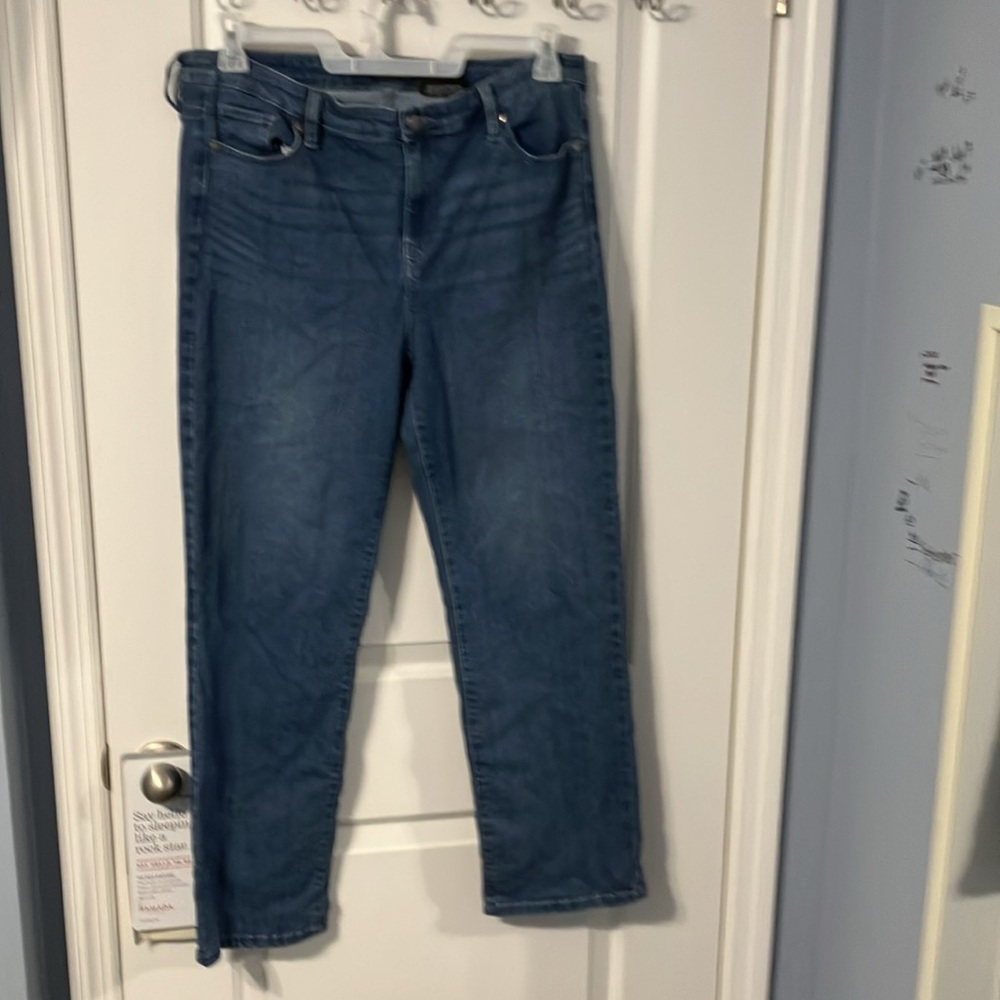 Buffalo High Rise Ankle Skinny Jeans size 12 / B1